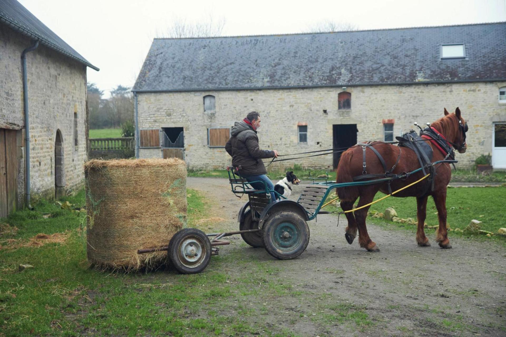 Ferme De Franqueville Sainte-Marie-du-Mont  Exterior foto